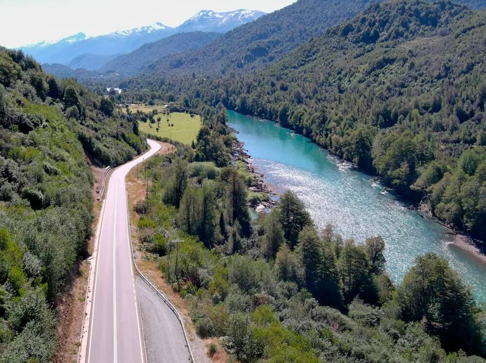 Bosque nativo del sur de Chile